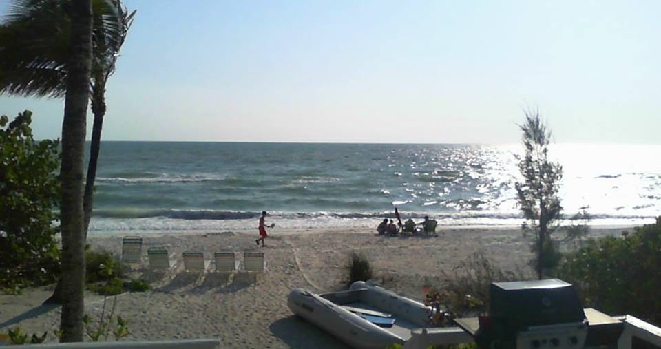 Hey, look, butterfly!